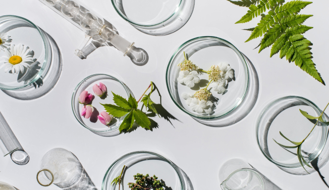 ประวัติความเป็นมา