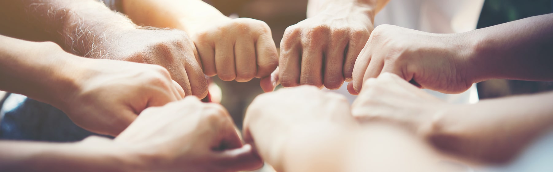 พันธมิตรของเรา