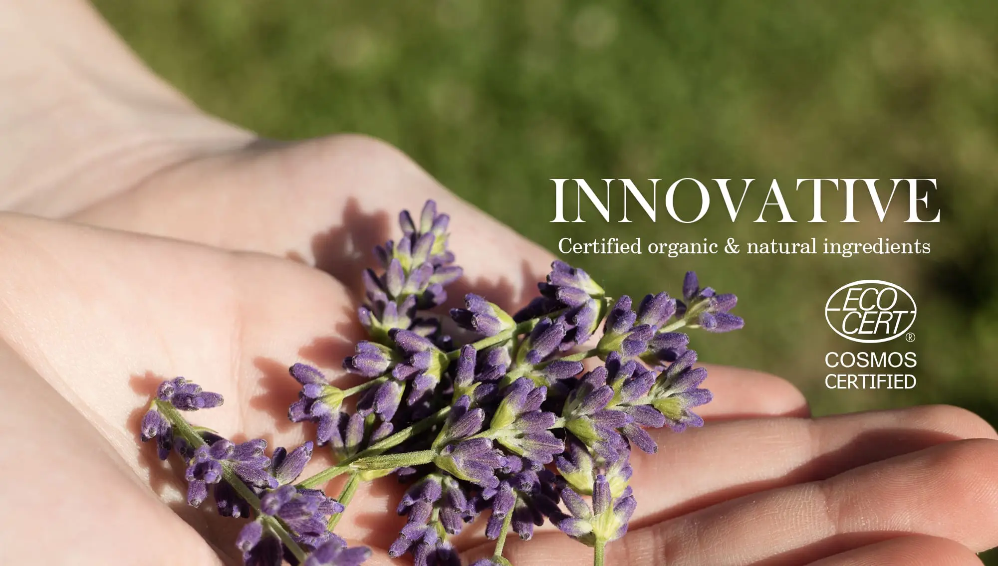 Products for Your Brand