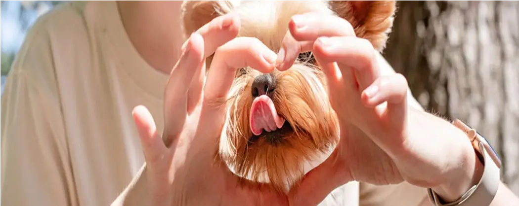 ผลิตภัณฑ์สำหรับสัตว์เลี้ยง