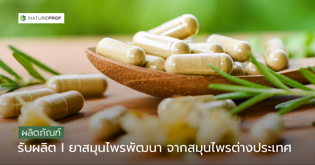 รับผลิตยาสมุนไพรพัฒนา จากสมุนไพรต่างประเทศ (Advanced Herbal Medicines) พร้อมยกระดับแบรนด์สู่ตลาดสากล กับ Natureprof (โรงงาน OEM/ODM)